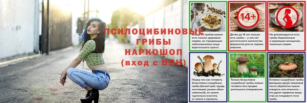 а пвп мука Гусиноозёрск