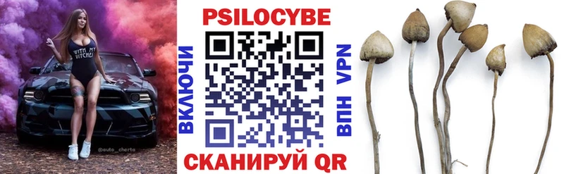 Галлюциногенные грибы GOLDEN TEACHER  блэк спрут как войти  Меленки  как найти  